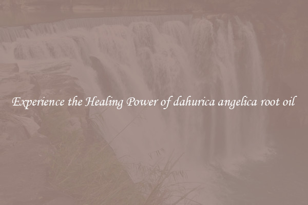 Experience the Healing Power of dahurica angelica root oil 