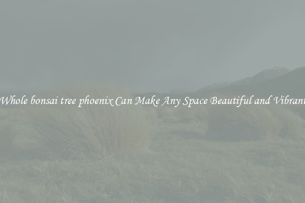 Whole bonsai tree phoenix Can Make Any Space Beautiful and Vibrant