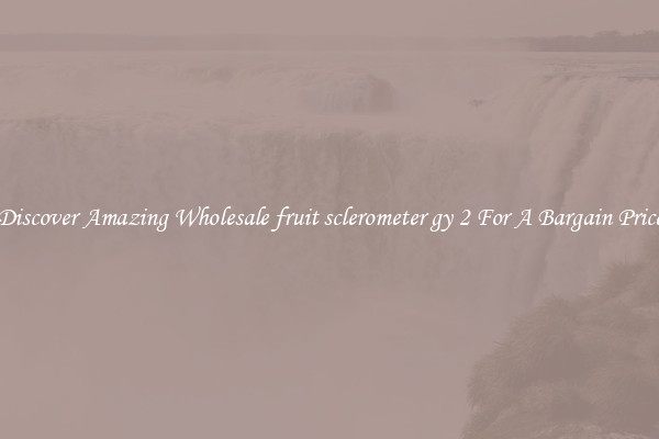Discover Amazing Wholesale fruit sclerometer gy 2 For A Bargain Price