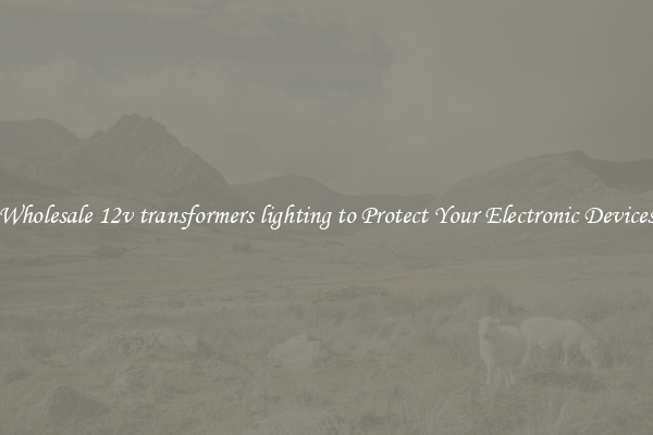 Wholesale 12v transformers lighting to Protect Your Electronic Devices