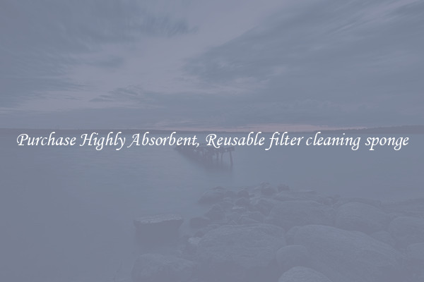 Purchase Highly Absorbent, Reusable filter cleaning sponge