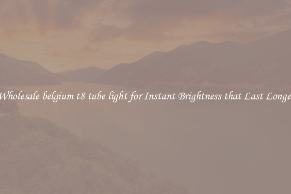 Wholesale belgium t8 tube light for Instant Brightness that Last Longer