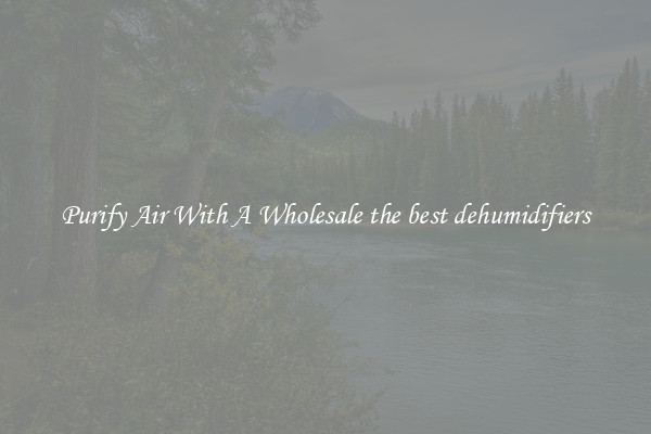 Purify Air With A Wholesale the best dehumidifiers