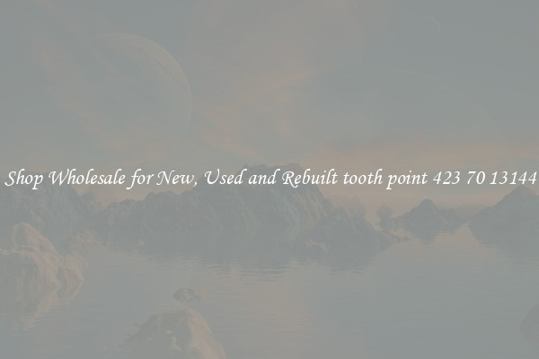 Shop Wholesale for New, Used and Rebuilt tooth point 423 70 13144