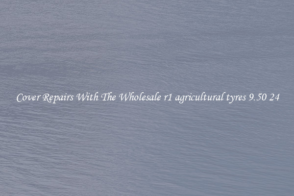 Cover Repairs With The Wholesale r1 agricultural tyres 9.50 24 