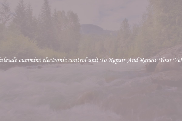Wholesale cummins electronic control unit To Repair And Renew Your Vehicle