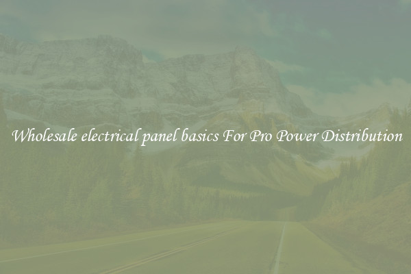 Wholesale electrical panel basics For Pro Power Distribution