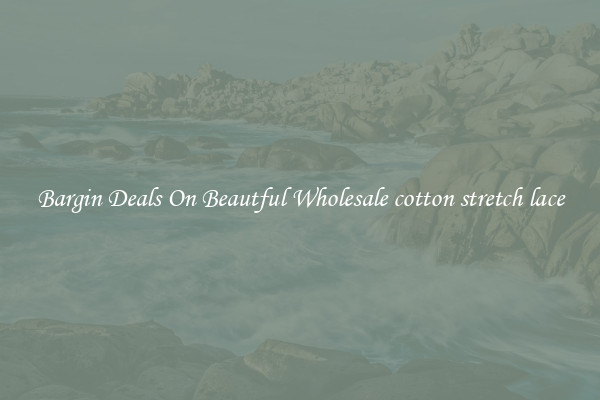 Bargin Deals On Beautful Wholesale cotton stretch lace