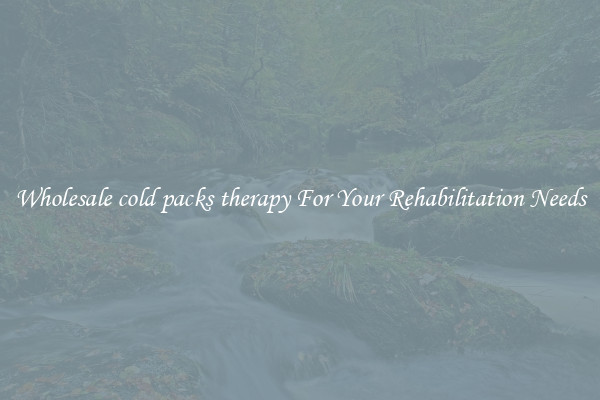 Wholesale cold packs therapy For Your Rehabilitation Needs