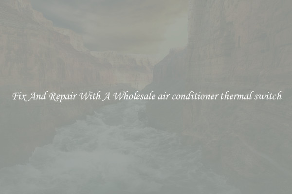 Fix And Repair With A Wholesale air conditioner thermal switch