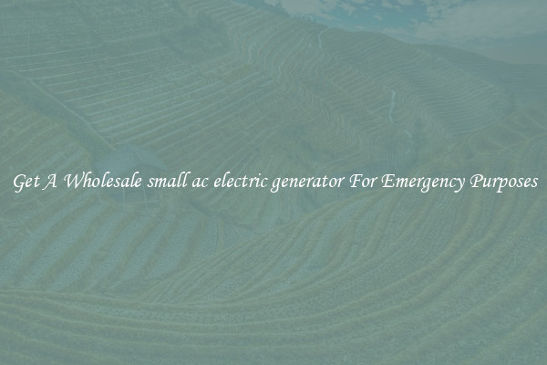 Get A Wholesale small ac electric generator For Emergency Purposes