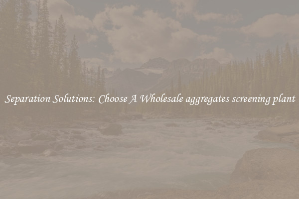 Separation Solutions: Choose A Wholesale aggregates screening plant