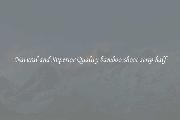 Natural and Superior Quality bamboo shoot strip half