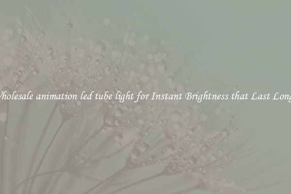Wholesale animation led tube light for Instant Brightness that Last Longer