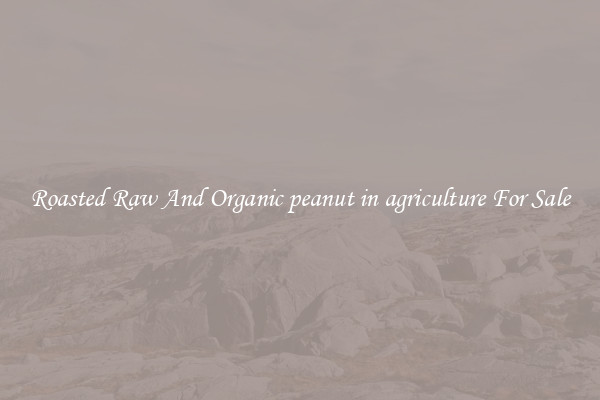 Roasted Raw And Organic peanut in agriculture For Sale
