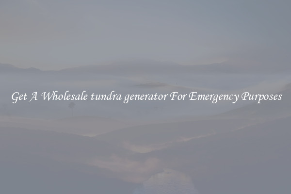 Get A Wholesale tundra generator For Emergency Purposes