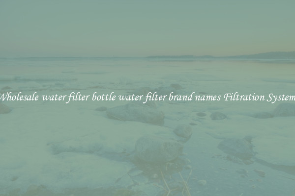 Wholesale water filter bottle water filter brand names Filtration Systems