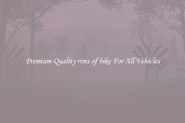 Premium-Quality rims of bike For All Vehicles
