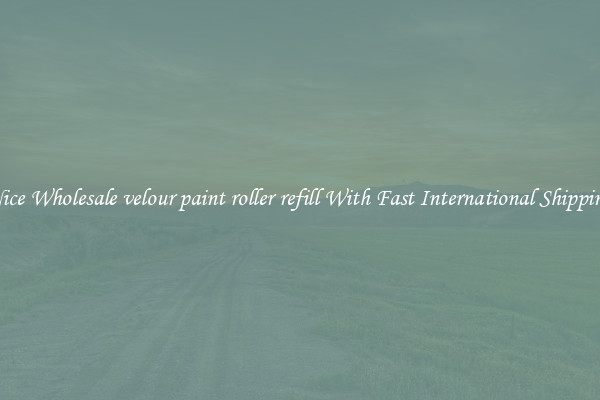 Nice Wholesale velour paint roller refill With Fast International Shipping