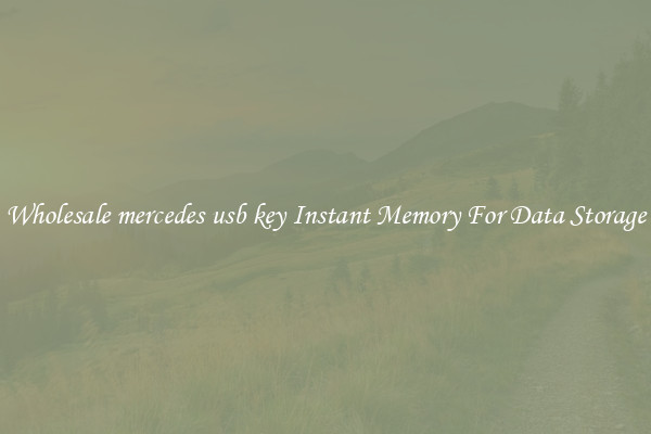 Wholesale mercedes usb key Instant Memory For Data Storage