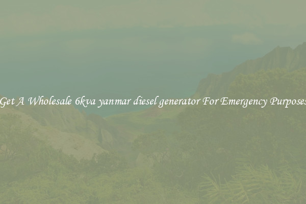 Get A Wholesale 6kva yanmar diesel generator For Emergency Purposes